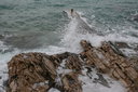 gal/cro 08/_thb_small-IMG_5494.JPG